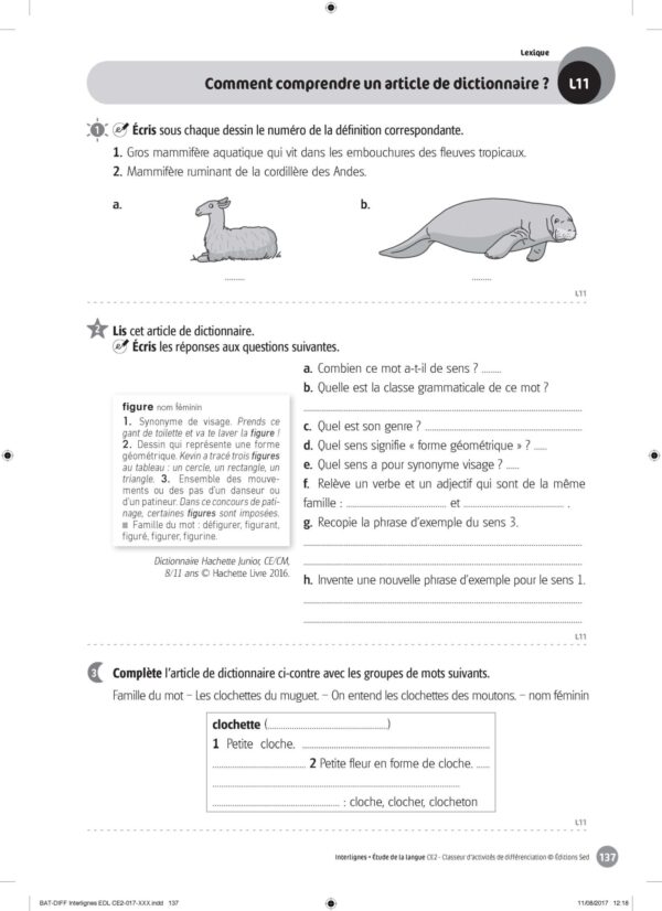 44455 - Classeur de différenciation - CE2_Page_12