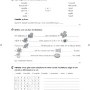 44555 - Classeur de différenciation - CM1_Page_07