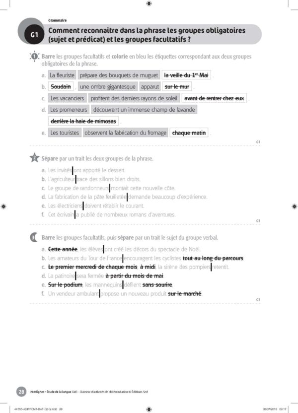 44555 - Classeur de différenciation - CM1_Page_08