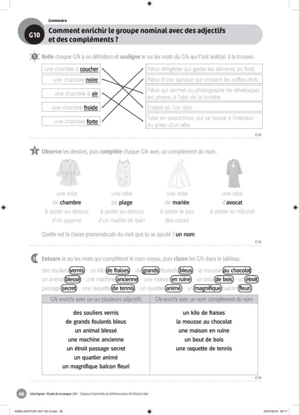 44555 - Classeur de différenciation - CM1_Page_09
