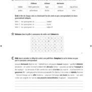 44555 - Classeur de différenciation - CM1_Page_13
