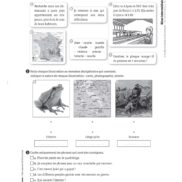 44650-Interlignes lecture-CE2-FR_Page_16