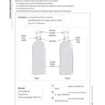INTERLIGNES LECTURE - Fichier ressources + numérique - CM2 – aperçu 20