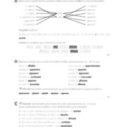 44655 - Classeur de différenciation - CM2_Page_07