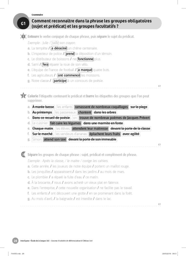 44655 - Classeur de différenciation - CM2_Page_08