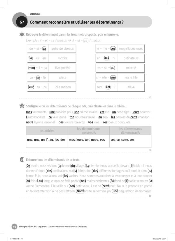 44655 - Classeur de différenciation - CM2_Page_10
