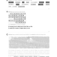 44655 - Classeur de différenciation - CM2_Page_13