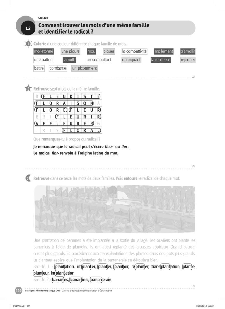 Aperçu : INTERLIGNES EDL – Classeur de différenciation – CM2 – Anciens progr.