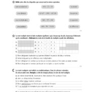 44655 - Classeur de différenciation - CM2_Page_15