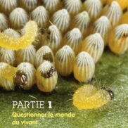 45320 - LNU - Le monde du vivant_Page_04