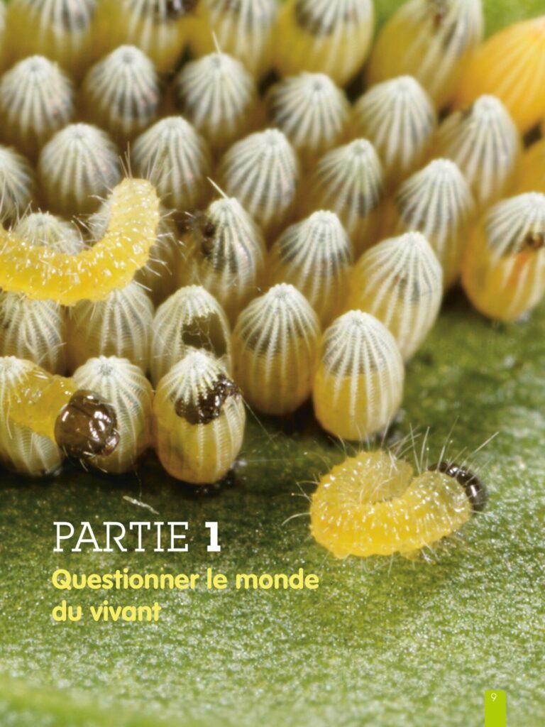 Aperçu : LNU – Le monde du vivant – 15 manuels + pack enseignant – Cycle 2