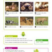45320 - LNU - Le monde du vivant_Page_06
