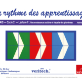 51321 - Page 1 - Extrait Veritech
