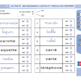 51321 - Page 4 - Extrait Veritech