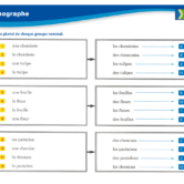 51422 - Page 4 - Extrait Veritech