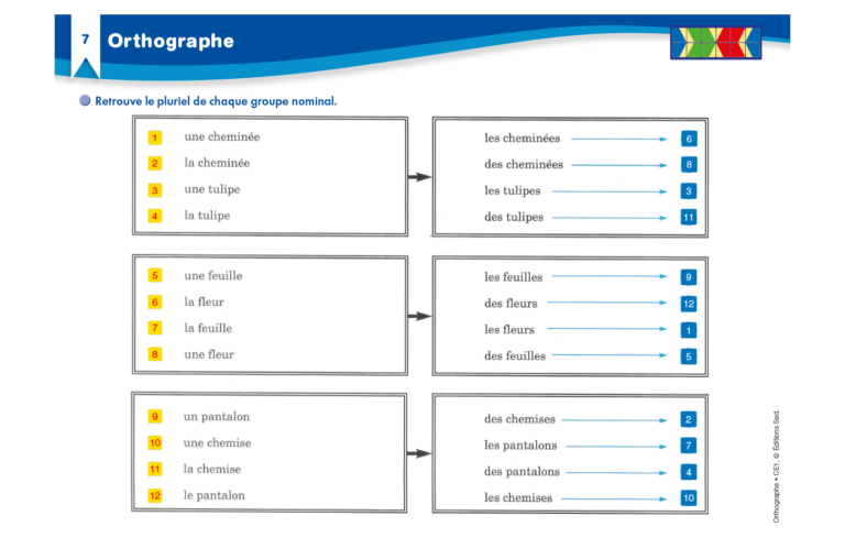 Aperçu : Orthographe – CE1