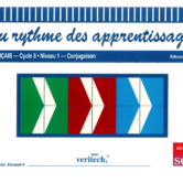 51521 - Page 1 - Extrait Veritech
