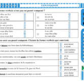 51521 - Page 4 - Extrait Veritech