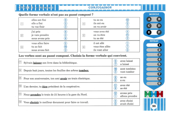 51521 - Page 4 - Extrait Veritech