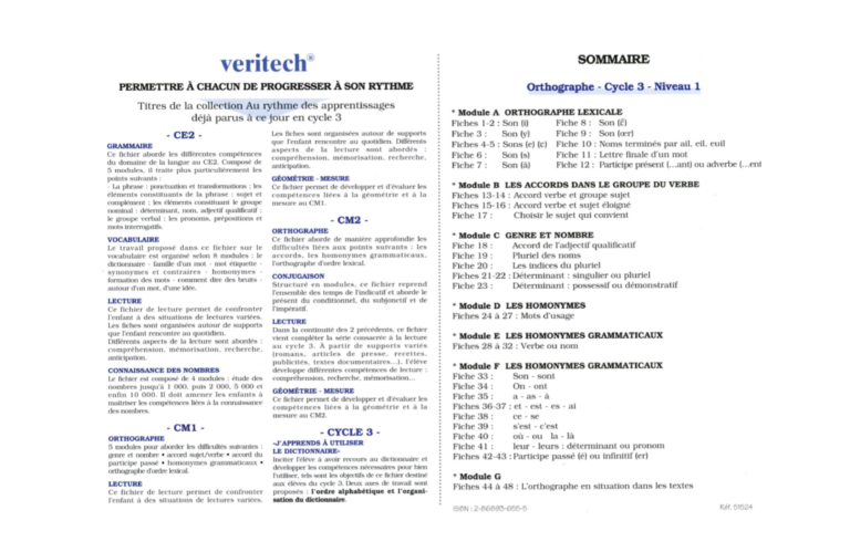 Aperçu : Orthographe – CE2