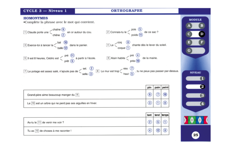 Aperçu : Orthographe – CE2
