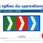 51722 - Page 1 - Extrait Veritech