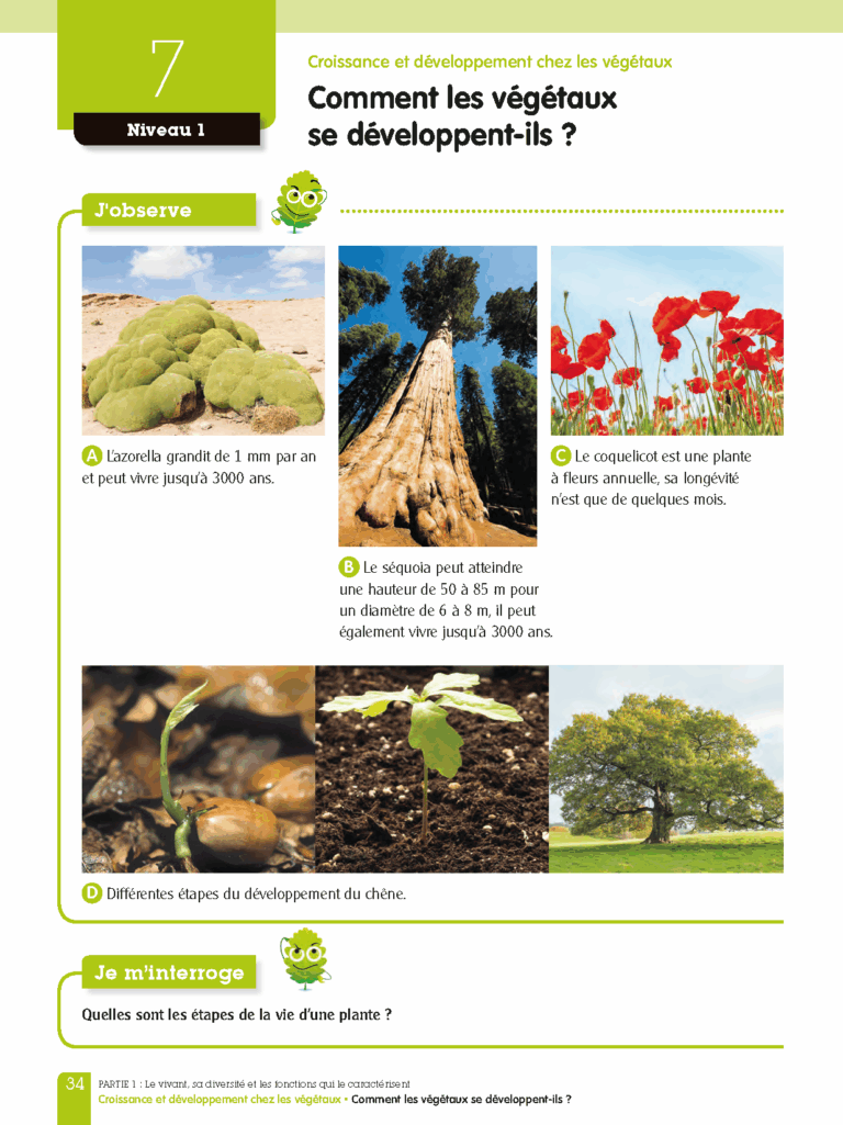 Aperçu : LNU – Sciences et technologies – 20 manuels + pack ens. – Cycle 3