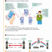 5360_LNU_Sciences et technologie-C3_Extrait Manuel_Page_09