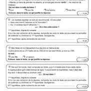 Duplimat - Chasse aux indices - CM1_Page_3