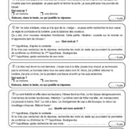 Duplimat - Chasse aux indices - CM1_Page_5