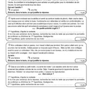 Duplimat - Chasse aux indices - CM1_Page_6