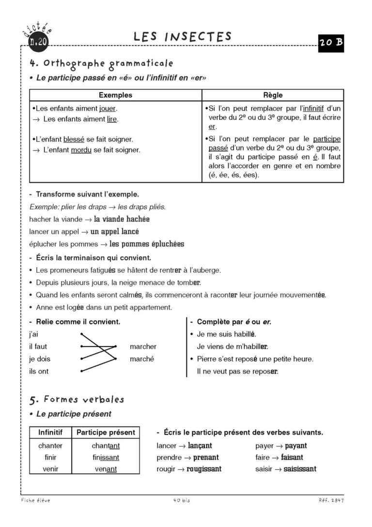 Aperçu : Dictées préparées – CM2