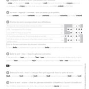 Duplimat - Dictée préparées et différenciées - CE2_Page_13