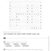 Duplimat - Dictée préparées et différenciées - CE2_Page_16