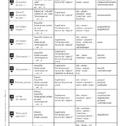 Duplimat - Dictée préparées et différenciées - CM1_Page_09