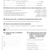 Duplimat - Dictée préparées et différenciées - CM1_Page_16