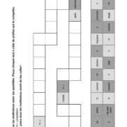Duplimat - Jeux différenciés - CM1_Page_10