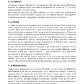 Duplimat - Mots croisés - CE2_Page_02