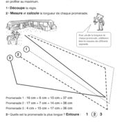 Duplimat - Problèmes en images - CE1_Page_11