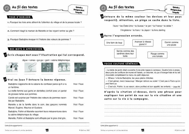 Aperçu : BDL – Tartes aux pommes et vieilles dentelles – 6 romans
