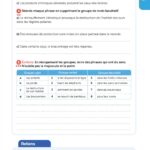 FRANCE ET MATHIS - Pack excellence - CM1 – aperçu 8