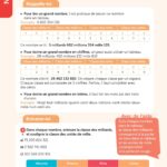 FRANCE ET MATHIS - Pack excellence - CM1 – aperçu 9