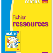 Image Mon année de maths Fichier Ressources - CE2