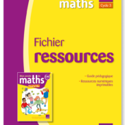 Image Mon année de maths Fichier Ressources - CM1