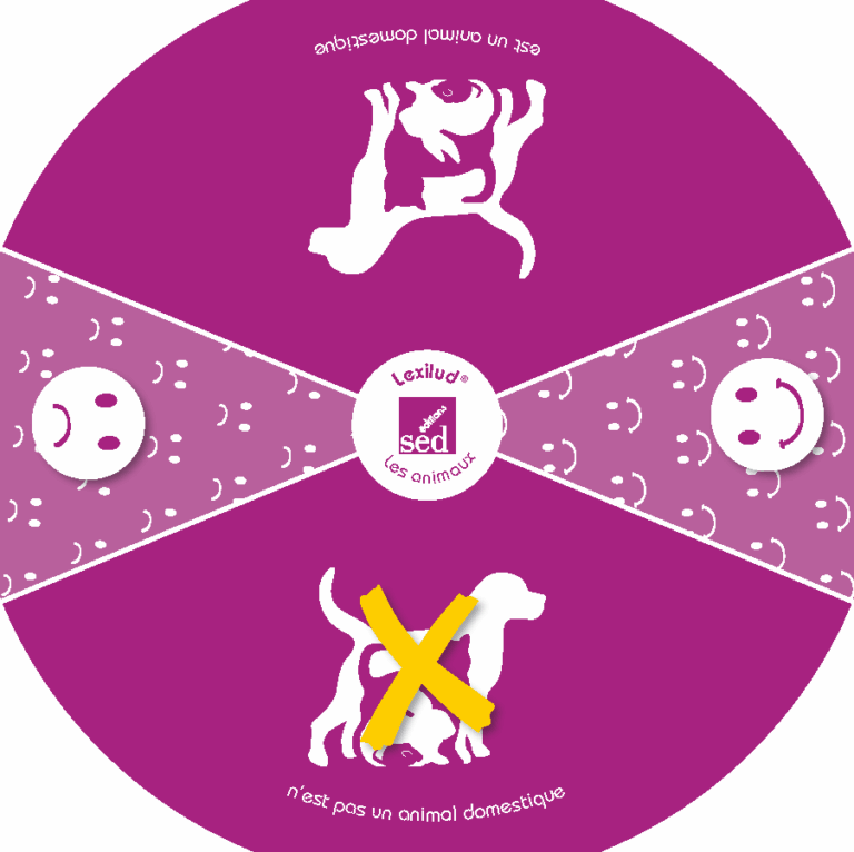 Aperçu : Les animaux – Cycle 1