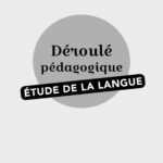 A LA LIGNE - Fichier ressources + Ressources numériques - CM1 – aperçu 8