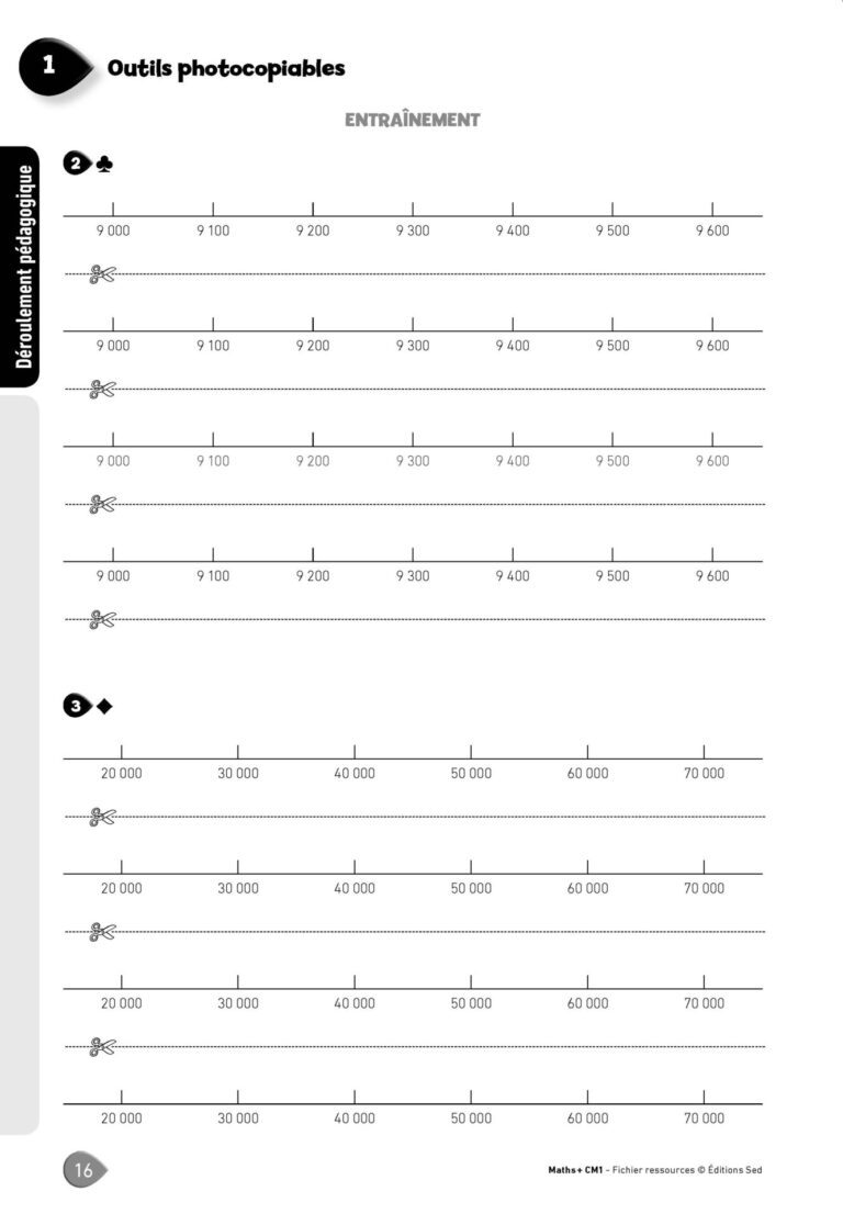 Aperçu : MATHS + – Fichier ressources + numérique – CM1 – Anciens programmes