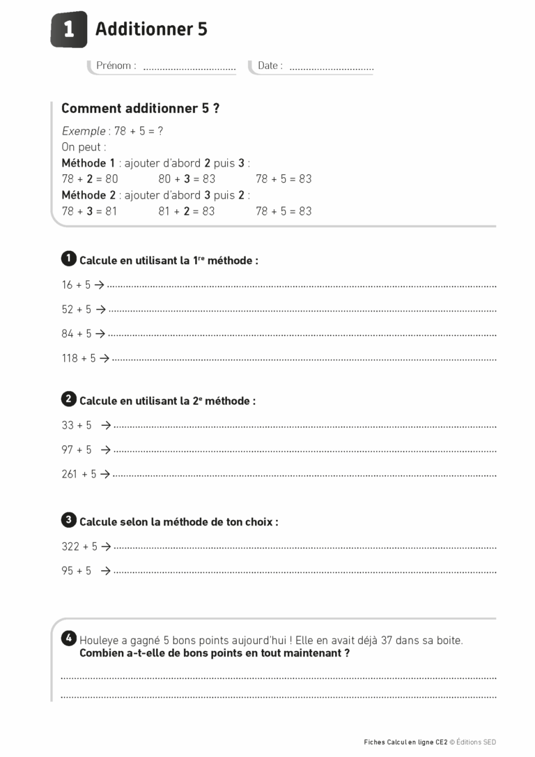 Aperçu : Calcul mental – Calcul à la ligne – CE2