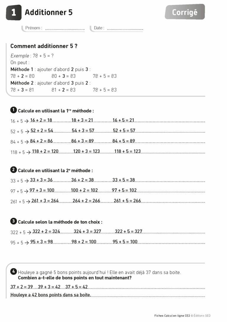 Aperçu : Calcul mental – Calcul à la ligne – CE2