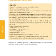 Problèmes ! Nombres et calculs - CE2 - Fichier ressources_Page_06